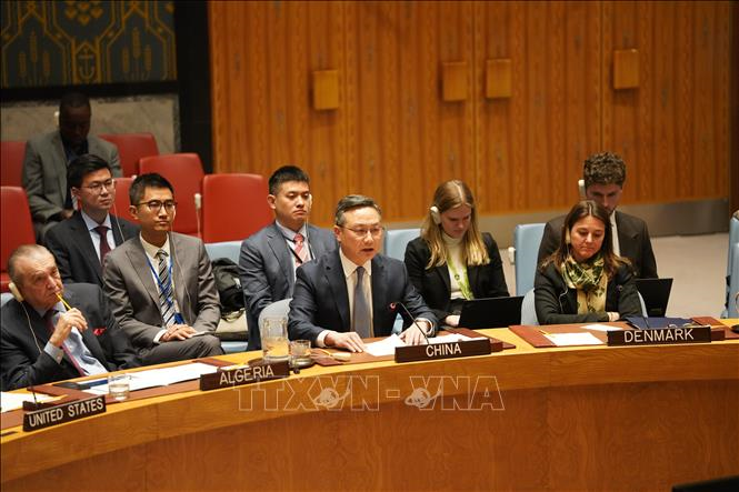 Trung Quốc, Thổ Nhĩ Kỳ kêu gọi nối lại đàm phán Ukraine